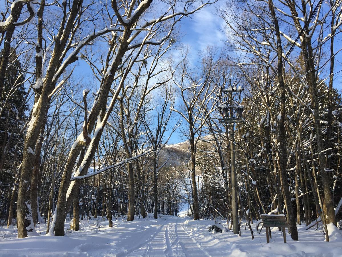 Maison De Sasagawa Hakuba Bagian luar foto